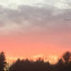 oredmond07